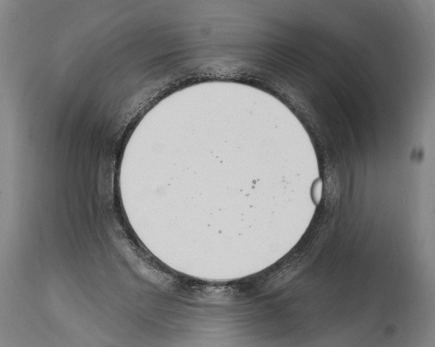 X0000114030493200911131252