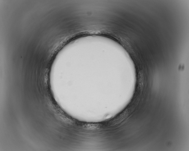 X0000114030495200911131252