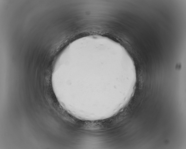 X0000114030499200911131252