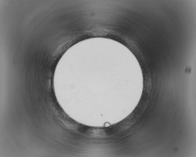 X0000114030501200911131252