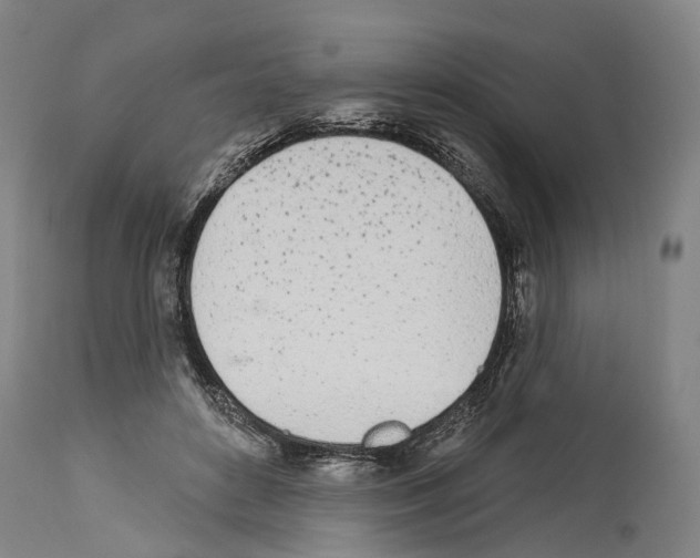 X0000114030504200911131252