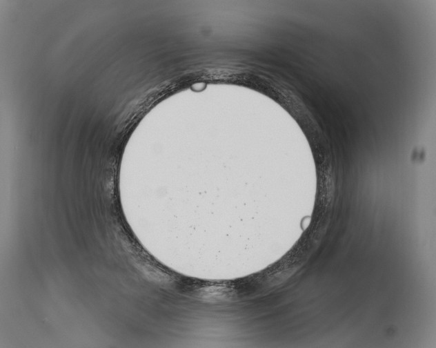 X0000114030505200911131252