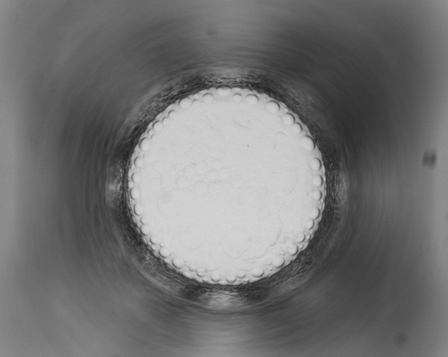 X0000114030507200911131252