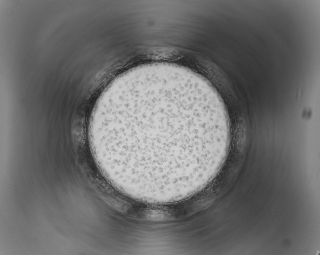 X0000114030510200911131252