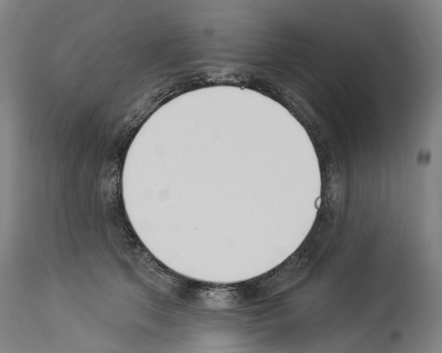 X0000114030513200911131252