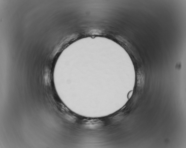 X0000114030516200911131252