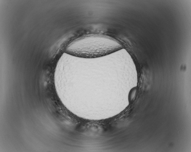 X0000114030520200911131252