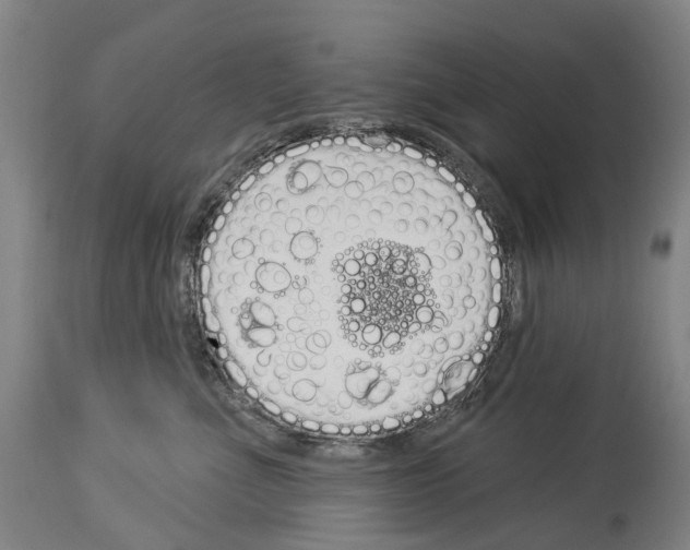 X0000114030523200911131252