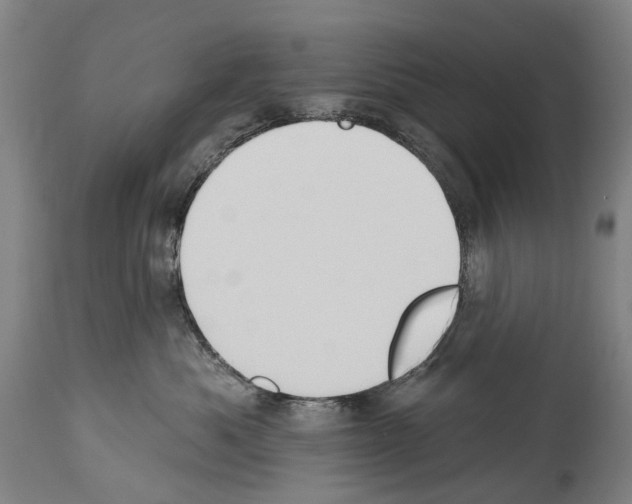 X0000114030525200911131252