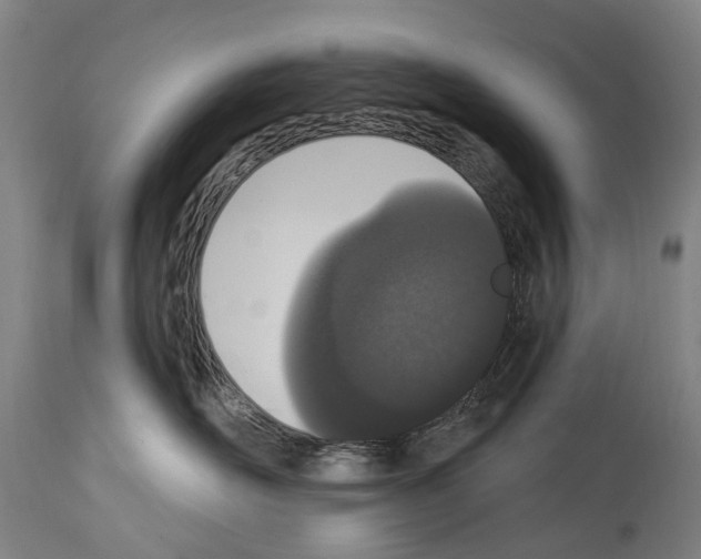 X0000114030526200911131252