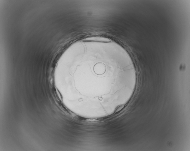 X0000114030528200911131251