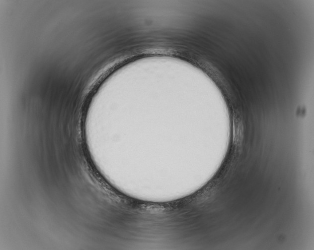 X0000114030531200911131251