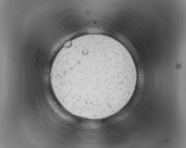 X0000114030533200911131251