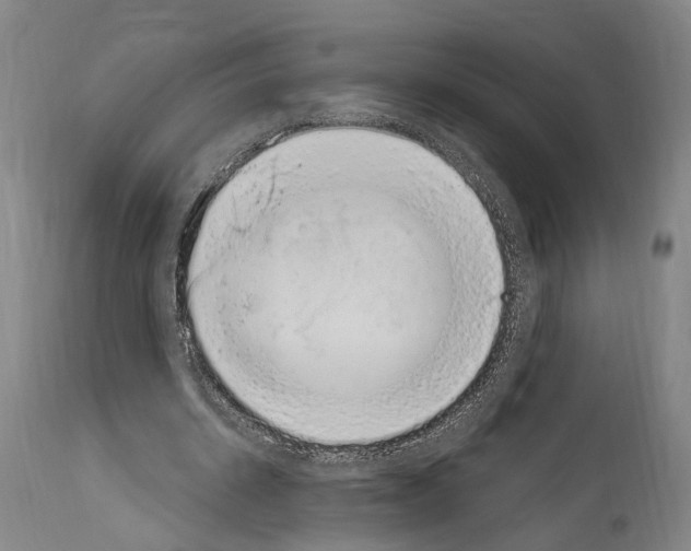 X0000114030534200911131251