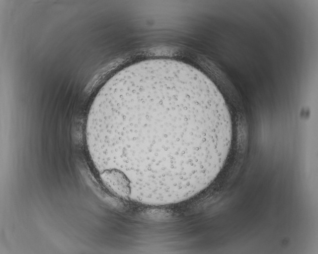 X0000114030537200911131251