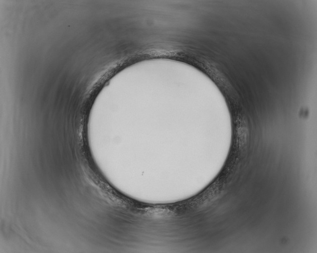 X0000114030539200911131251