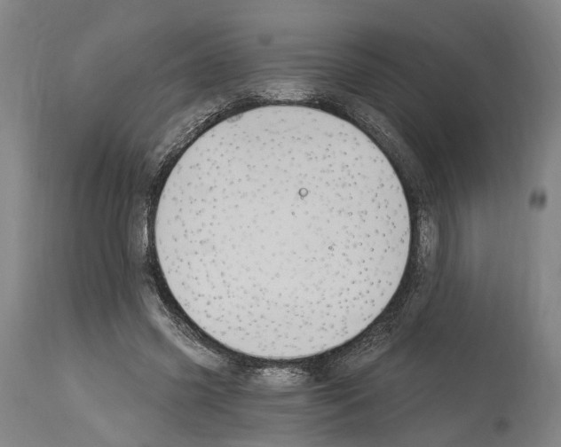 X0000114030541200911131251