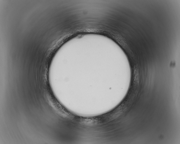 X0000114030542200911131251