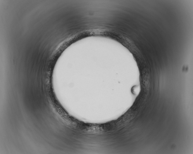 X0000114030543200911131251