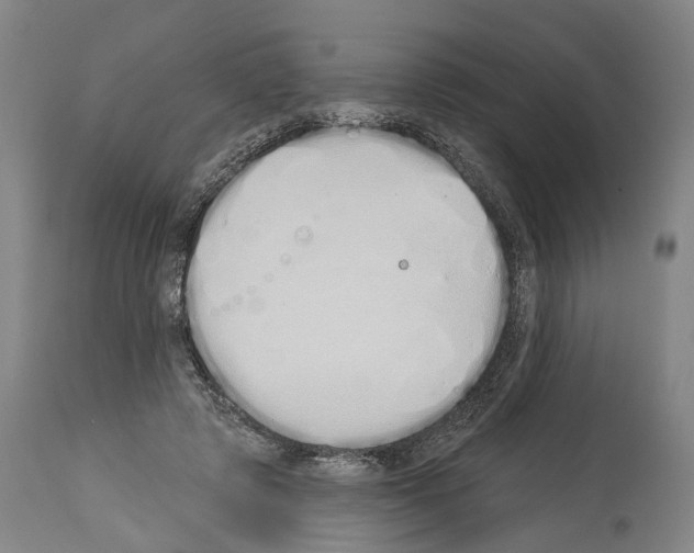 X0000114030545200911131251