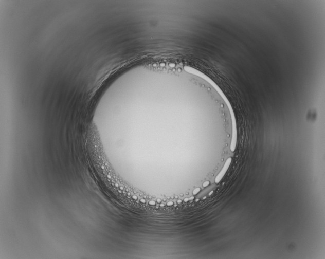 X0000114030548200911131251