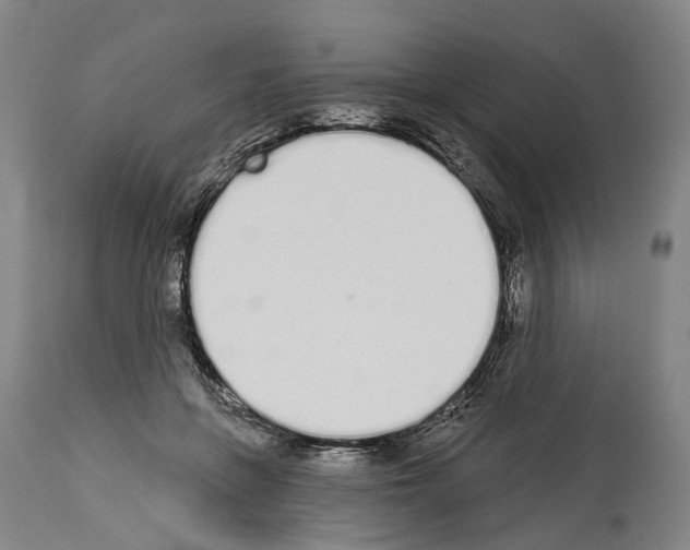 X0000114030551200911131251