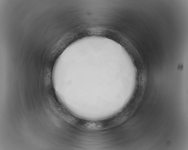 X0000114030557200911131251