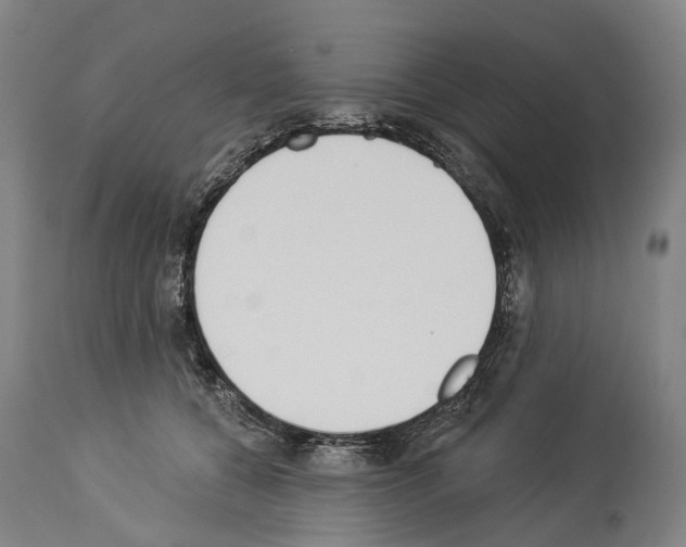 X0000114030560200911131251