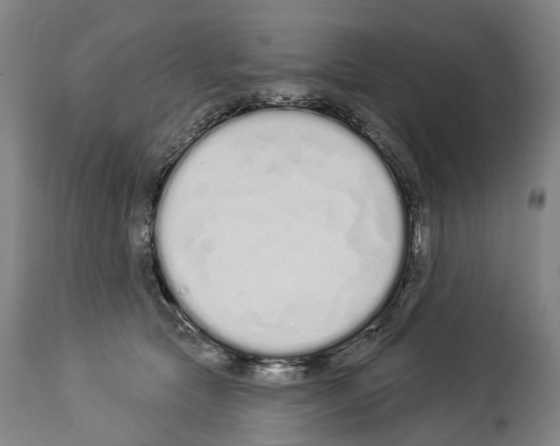 X0000114030561200911131251