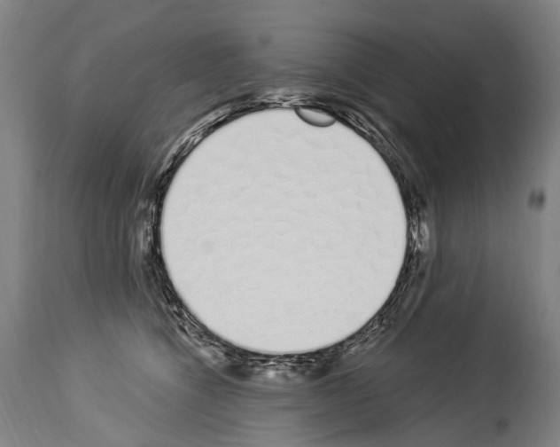 X0000114030564200911131251