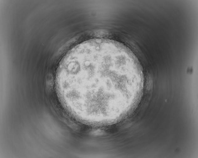 X0000114030569200911131251