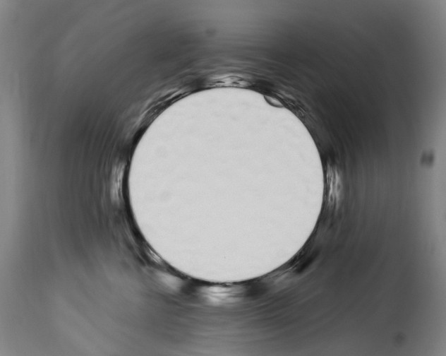 X0000114030570200911131251