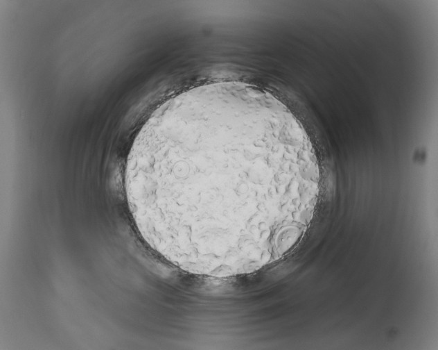 X0000114030573200911131251