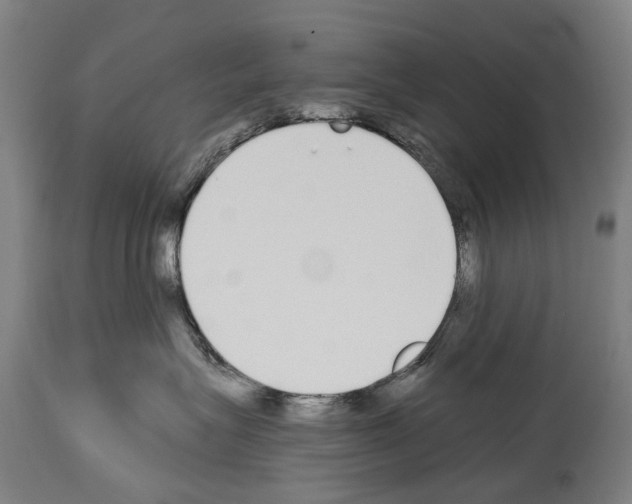 X0000114030575200911131251