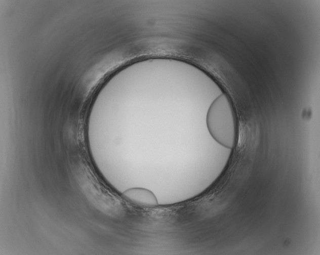 X0000114030579200911131251