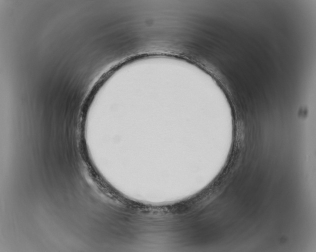 X0000114030580200911131251