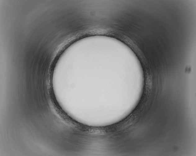 X0000114030582200911131251