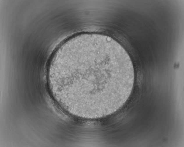 X0000114030584200911131251