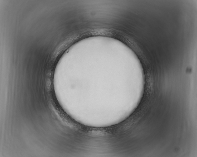 X0000114030586200911131251