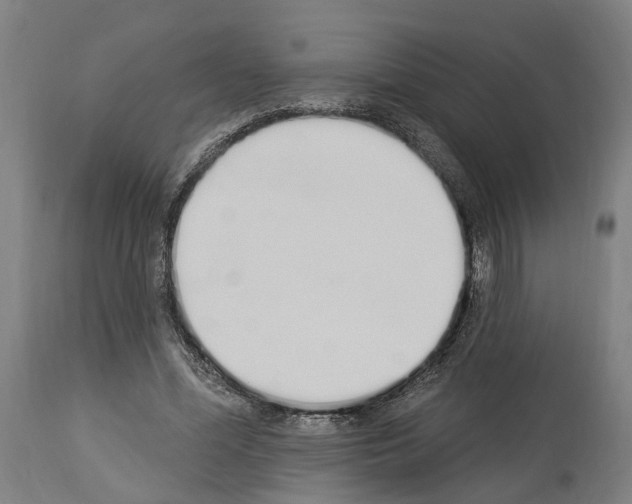 X0000114030588200911131251