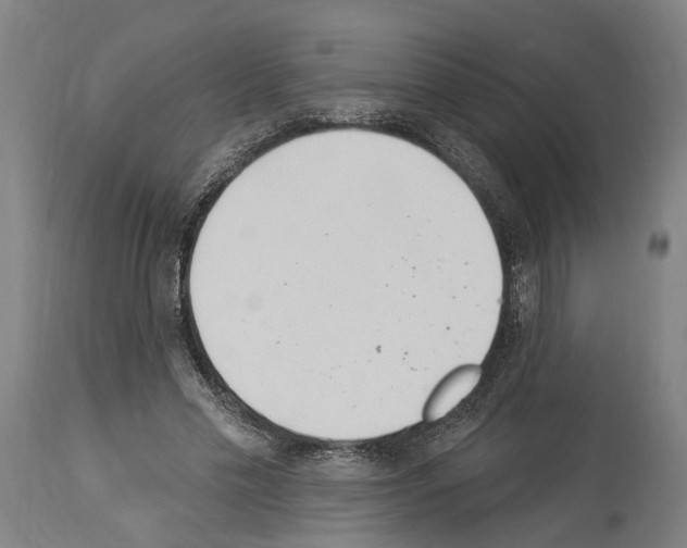 X0000114030589200911131251