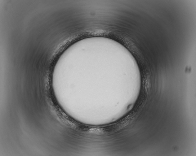 X0000114030591200911131251