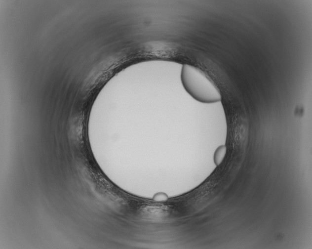 X0000114030595200911131251