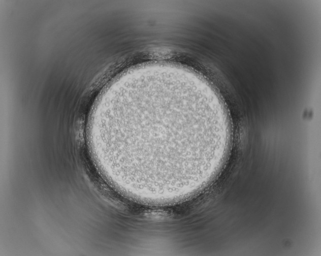 X0000114030598200911131251