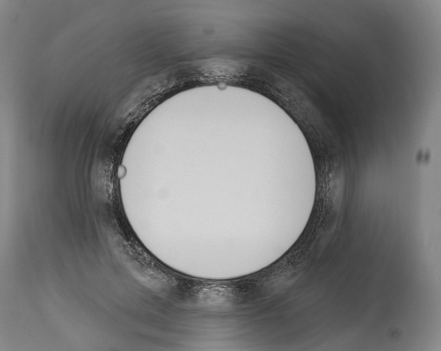 X0000114030599200911131251