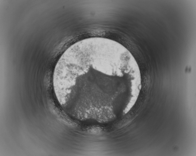 X0000114030600200911131250