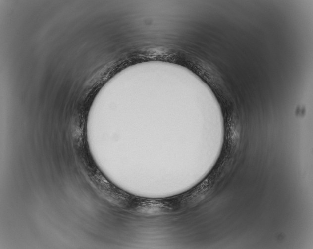 X0000114030607200911131250