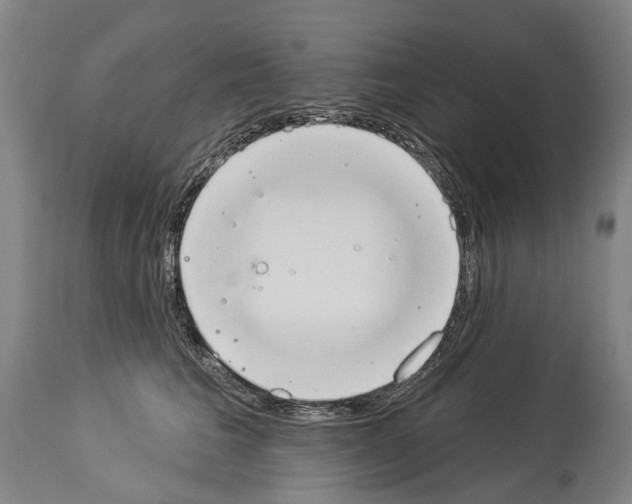 X0000114030613200911131250