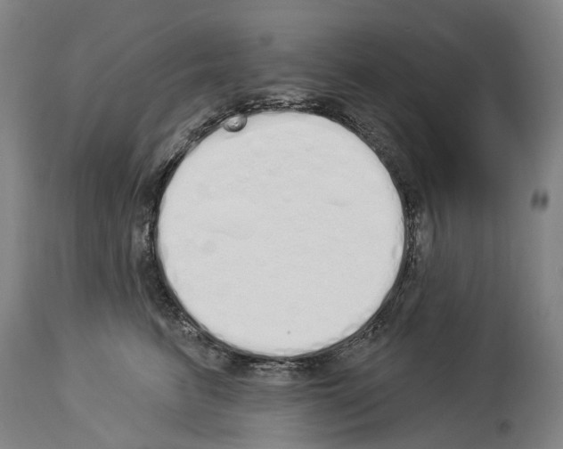 X0000114030615200911131250