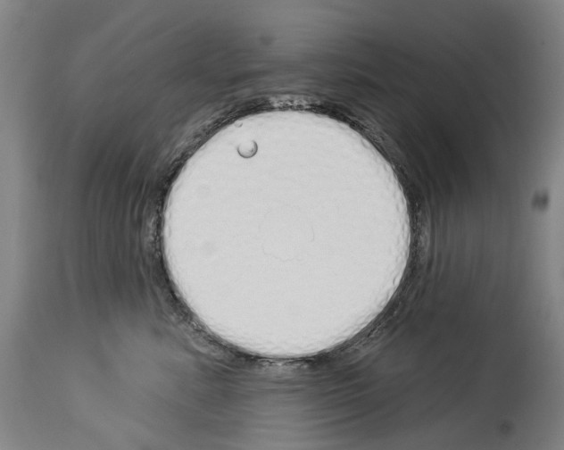 X0000114030619200911131250